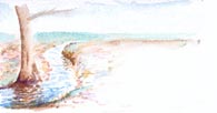 Fluss links
